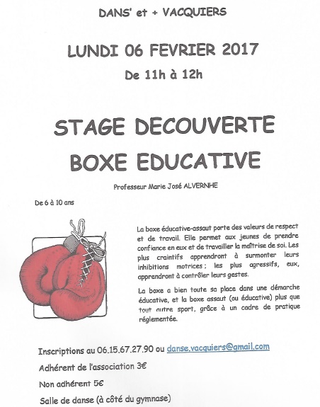 Stage boxe educative 6 fev 2017
